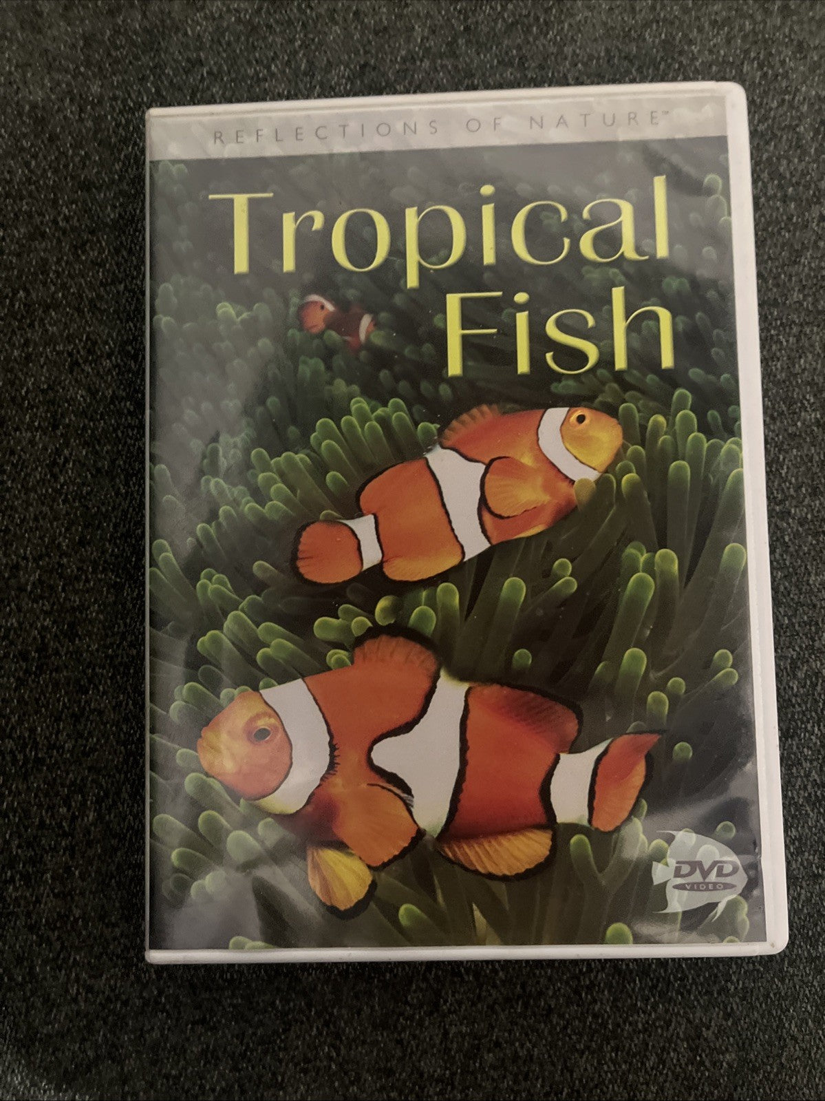 Tropical Fish