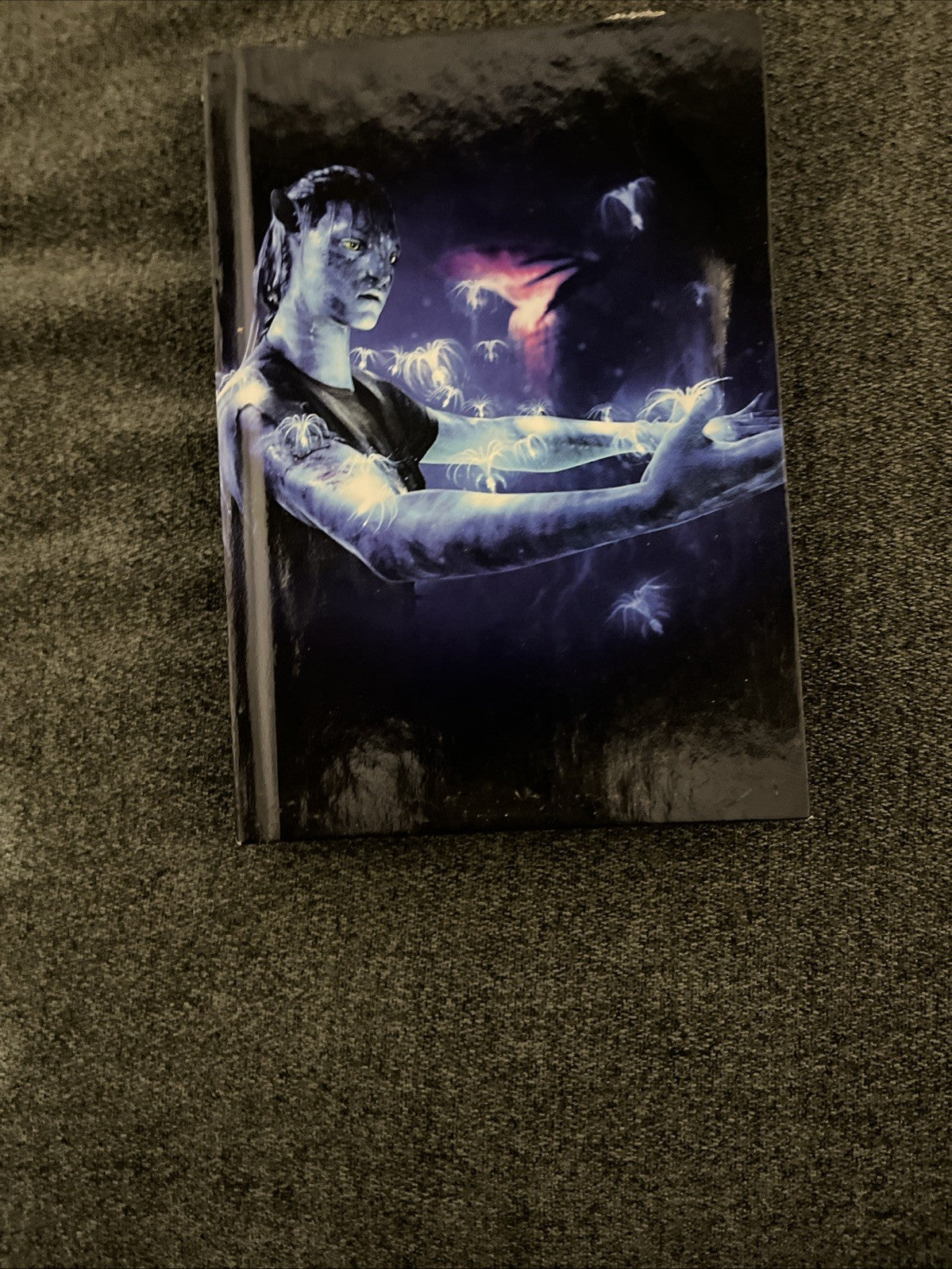 Avatar (DVD, 2009)