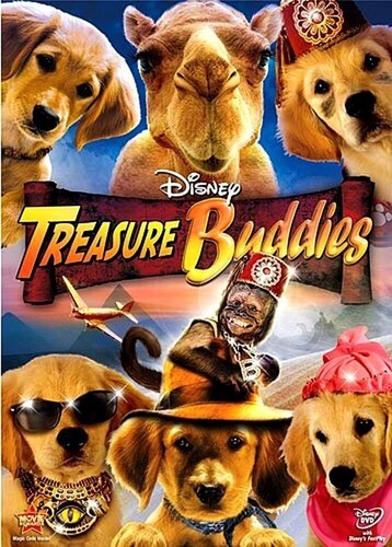 Treasure Buddies (DVD, 2012)